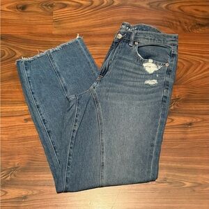 American Eagle Outfitters Blue Distressed Ankle Jeans